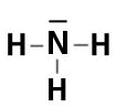 Nh3le.jpg (2473 octets)