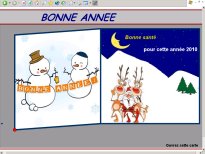NouvelAN.jpg (11245 octets)