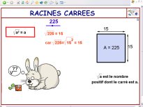 racicarre.jpg (9787 octets)