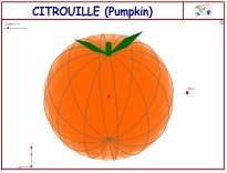 citrouille.jpg (8658 octets)