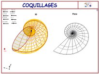 coquiilla.jpg (9674 octets)
