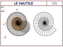 nautile.jpg (10430 octets)