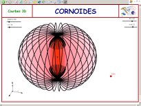 cornoides.jpg (11408 octets)