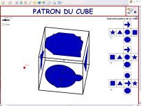 Facecub.jpg (10497 octets)