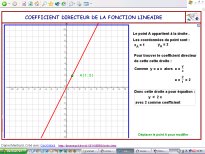 coefflineaire.jpg (11407 octets)