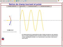 champulse1.jpg (7536 octets)